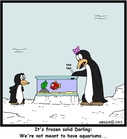 'It's frozen solid Darling: We're not meant to have aquariums...'
