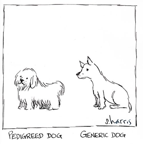 Pedigreed dog and generic dog.