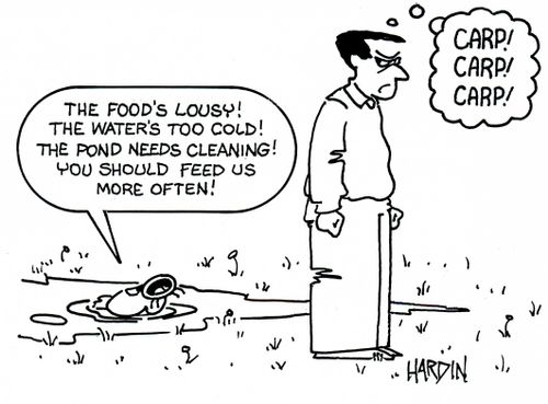 'The food's lousy! The water's too cold! The pond needs cleaning! You should feed us more often!'