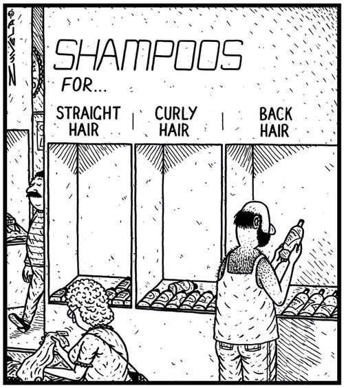 Shampoos for...Straight hair, Curly hair, Back hair.