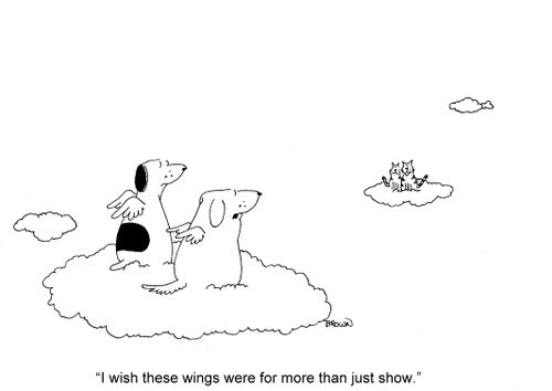 'I wish these wings were for more than show.'