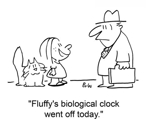 'Fluffy's biological clock went off today.'