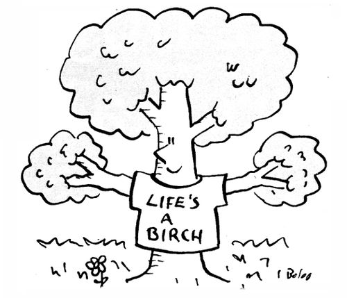 Life's A Birch.