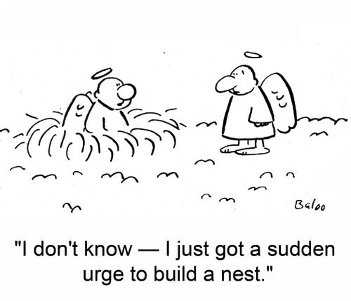 'I don't know -- I just got a sudden urge to build a nest.'