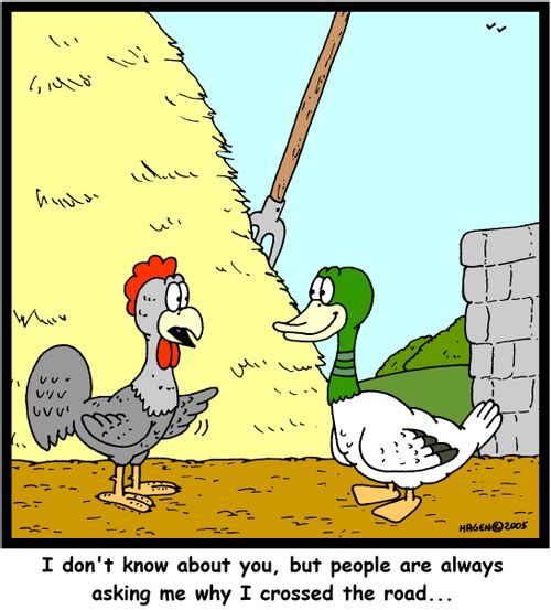 'I don't know about you, but people are always asking me why I crossed the road...'