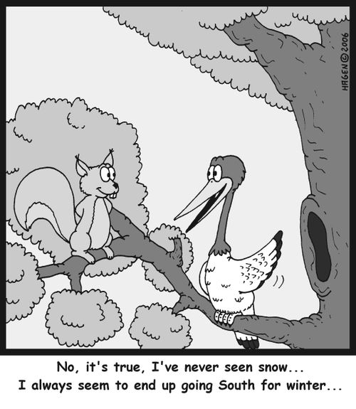 'No, it's true, I've never seen snow... I always seem to end up going South for winter...'