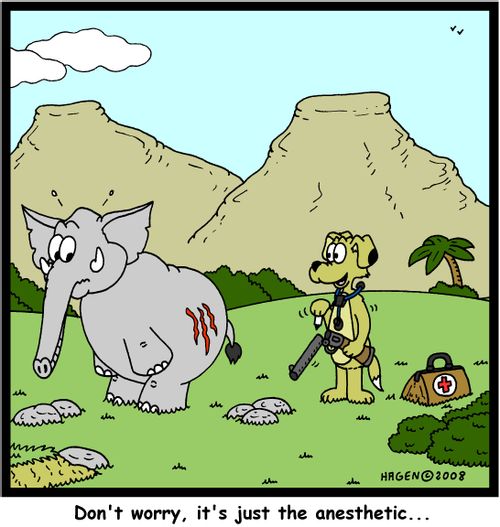 'Don't worry, it's just the anaesthetic...'