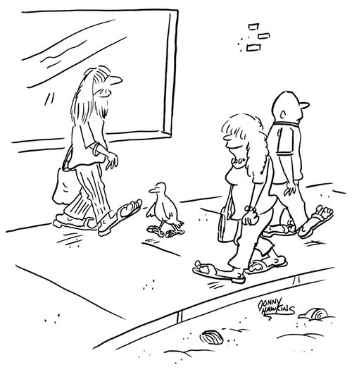Duck in sandals.