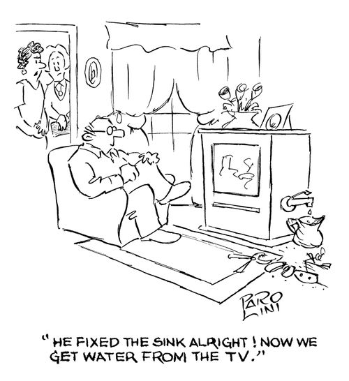 'He fixed the sink alright! Now we get water from the TV.'