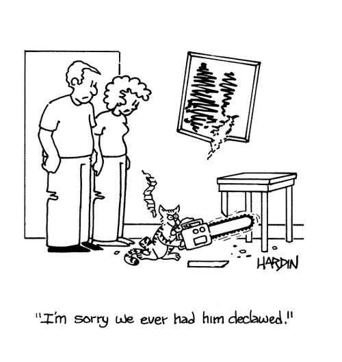 'I'm sorry we ever had him declawed.'