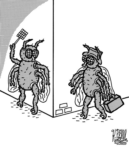 Fly mugger mugging with fly swatter.