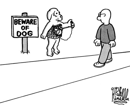 Beware of dog (bomb vest)