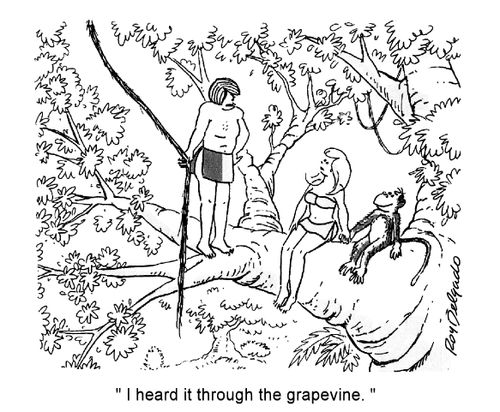 'I heard it through the grapevine.'