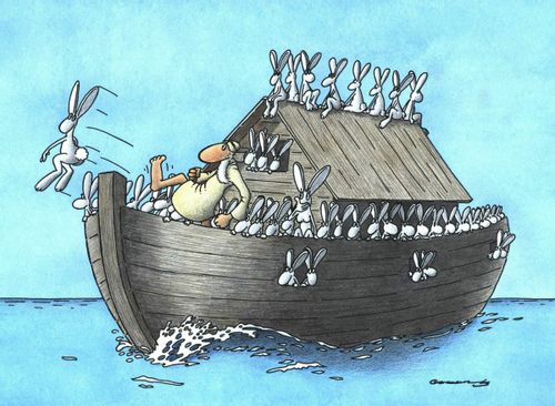 Rabbits on Noah's ark