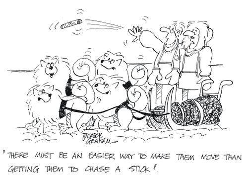 'There must be an easier way to make them move than getting them to chase a stick'.