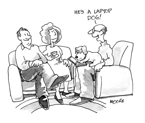 "He's a laptop dog!"