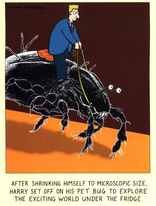 Shrunken man riding on a microscopic bug