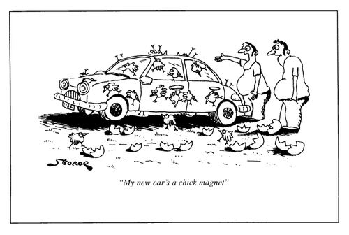 "My car's a chick magnet"