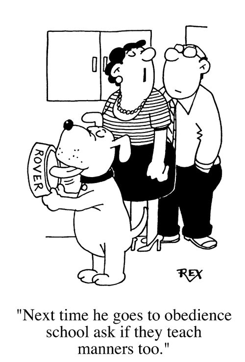 "...do they teach manners at obedience school?"
