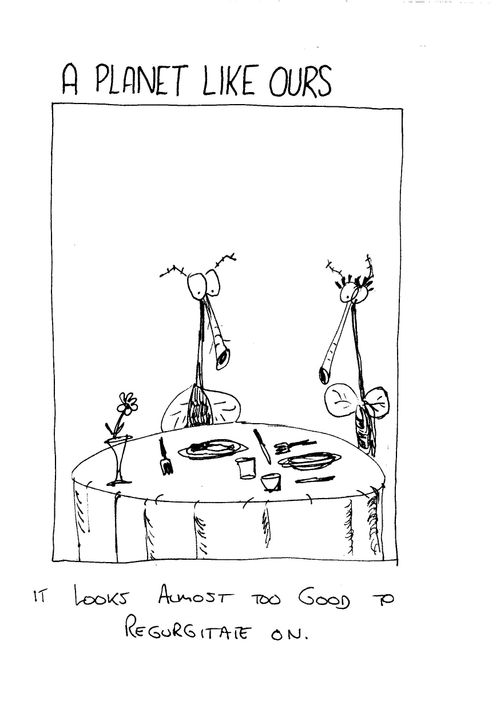 Flies over dinner - "It looks almost too good to regurgitate on."