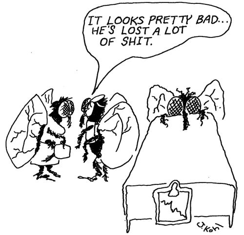 Sick fly.