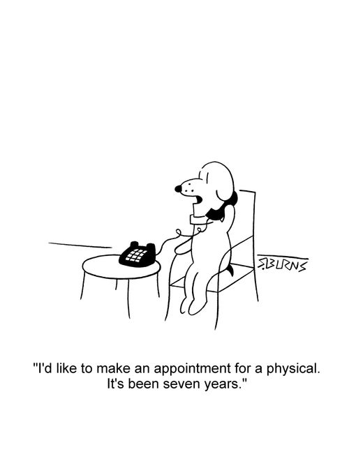Dog on phone: 'I'd like to make an appointment for a physical. It's been seven years.'