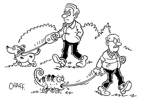 Man walking a lizard by its tongue.