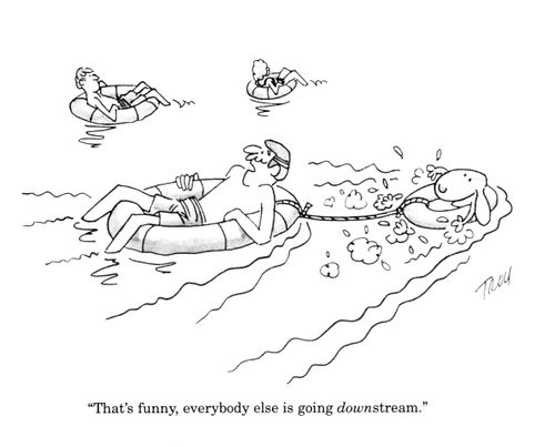 'That's funny, everybody else is going downstream.'