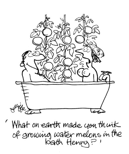 'What on earth made you think of growing water melons in the bath Henry?'