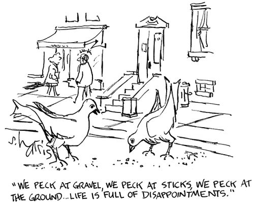 'We peck at gravel, we peck at sticks, we peck at the ground...life is full of disappointments.'