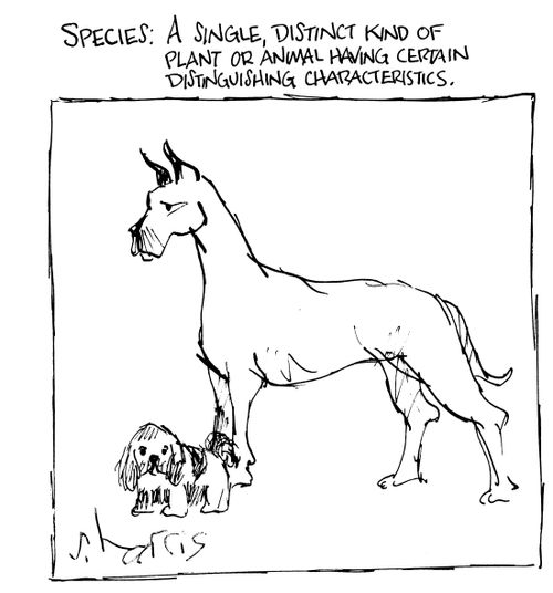 Species: A single, distinct kind of plant or animal having certain distinguishing characteristics.