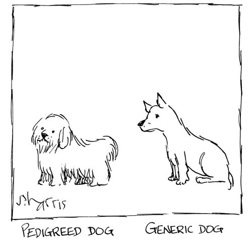 Pedigreed dog/Generic dog.
