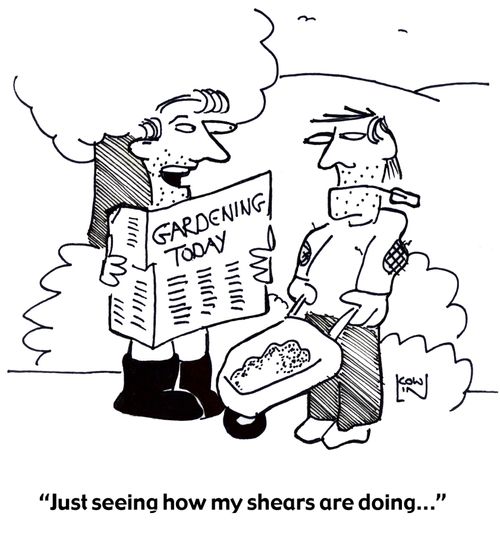 'Just seeing how my shears are doing...'
