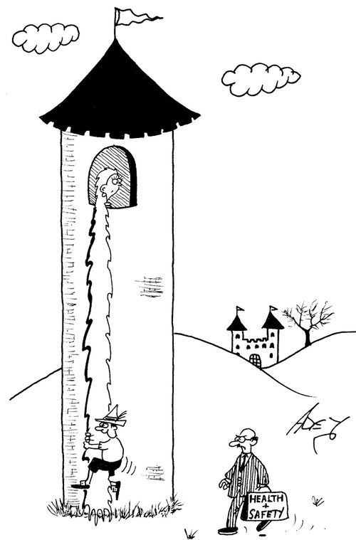 Health and safety officer concerned about prince climbing up Rapunzel's hair.