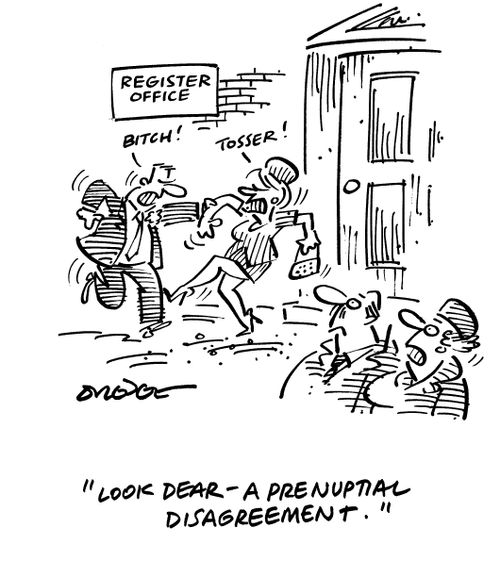 'Look dear - a prenuptial disagreement.'