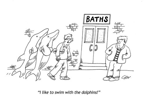 'I like to swim with the dolphins!'