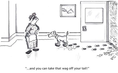 '...and you can take that wag off your tail!'