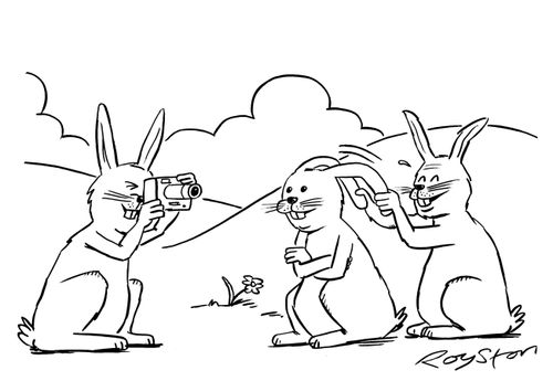 Rabbit pulls down fellow rabbit's ears as photo is taken, instead of making 'rabbit ears'.