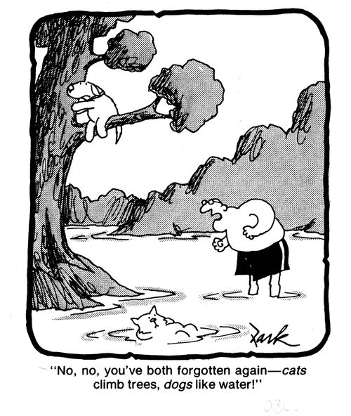 'No, now you've both forgotten again, cats climb trees, dogs like water!'