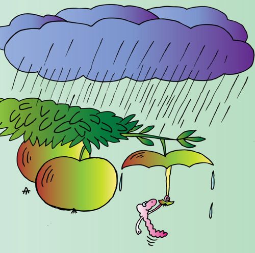 A Worm Shelters from A Rain Storm.
