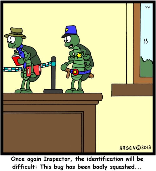 'Once again Inspector, the identification will be difficult: This bug has been badly squashed...'