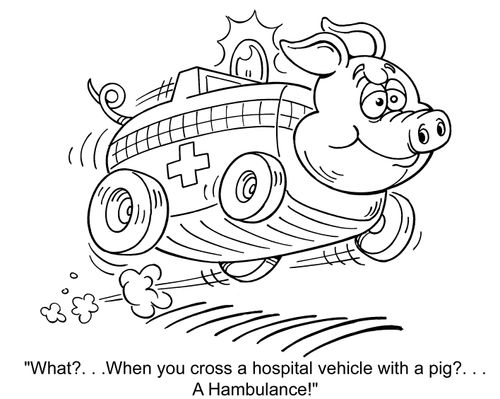 'What? . . .When you cross a hospital vehicle with a pig?. . .A Hambulance!'