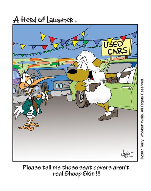 Please tell me those seat covers aren't real Sheep Skin!!!