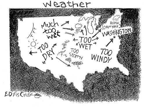 Weather Forecasts    
