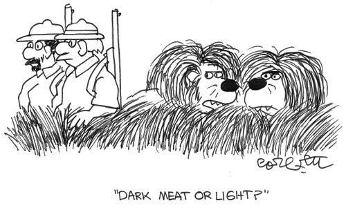Lion: dark meat or light?