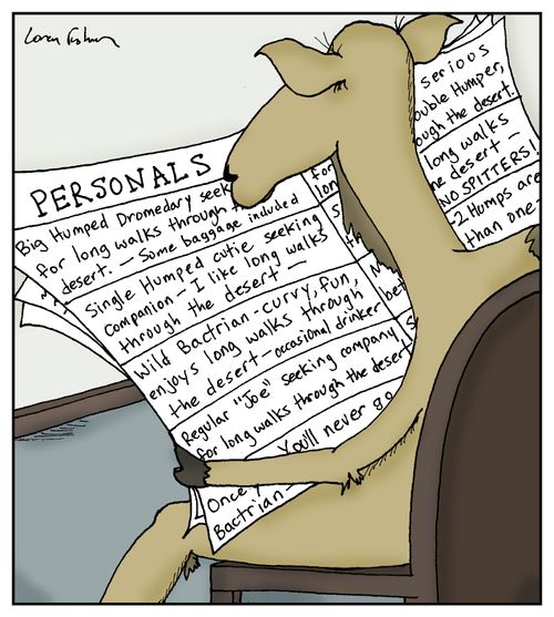 Camel Personal Ads