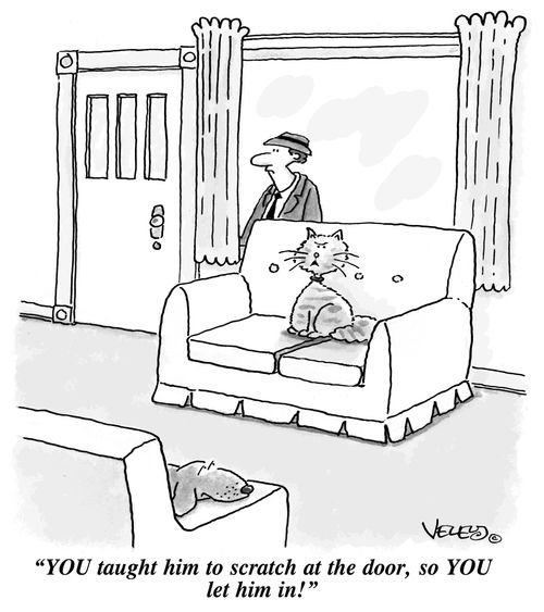 'YOU taught him to scratch at the door, so YOU let him in!'