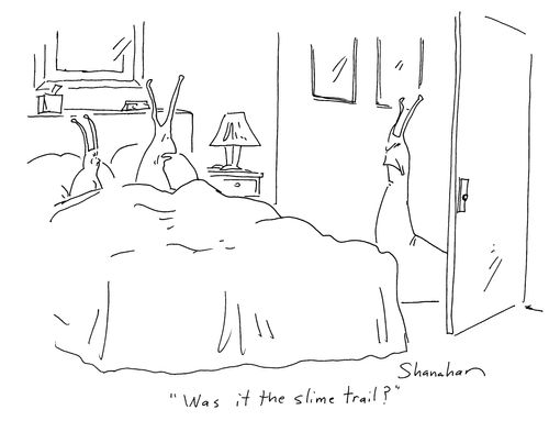 'Was it the slime trail?'