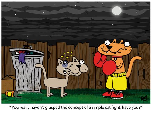 ' You really haven't grasped the concept of a simple cat fight, have you?'