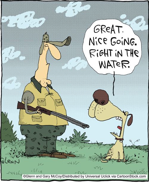 'Great. Nice going. Right in the water.'